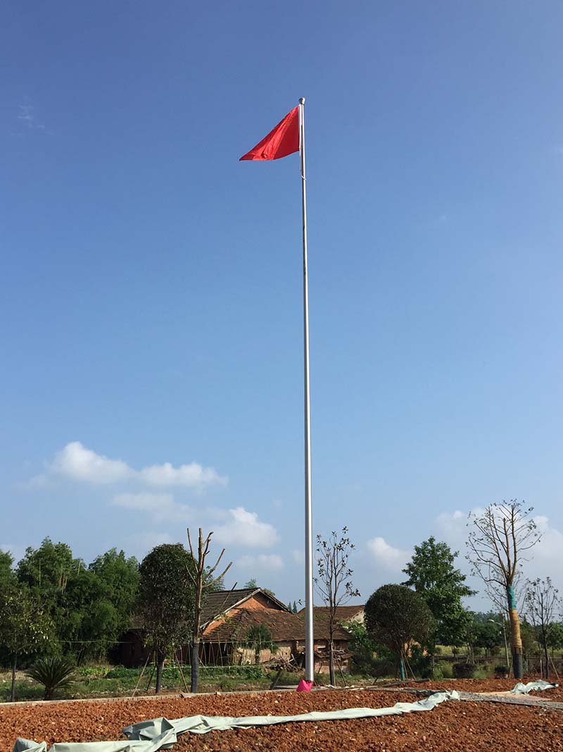 鎮級政府單根